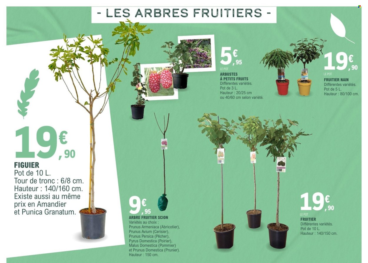 Catalogue E.LECLERC - VEGETAUX