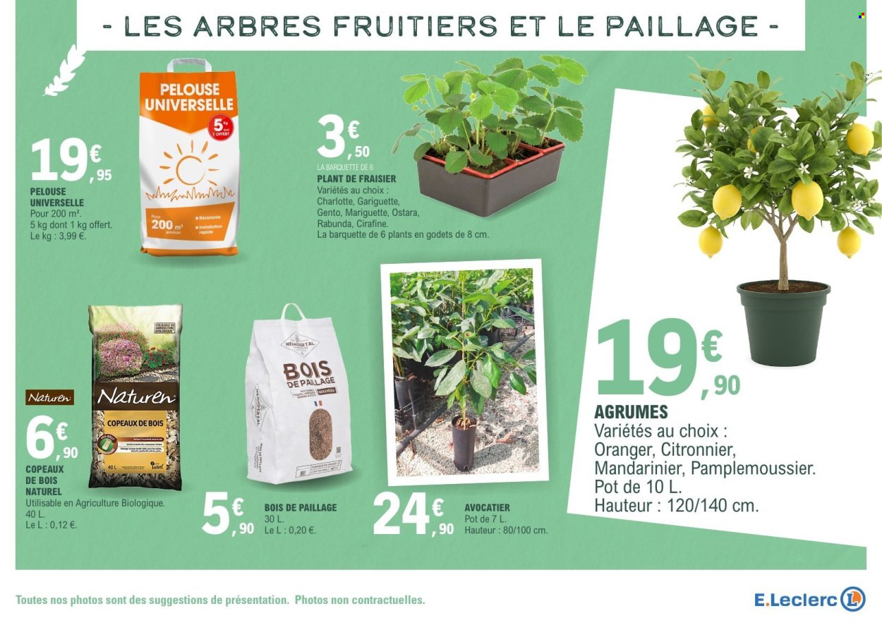 Catalogue E.LECLERC - VEGETAUX