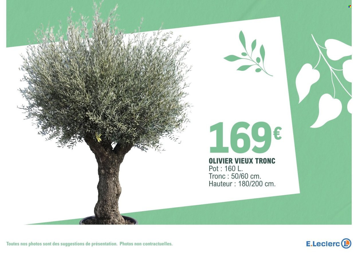 Catalogue E.LECLERC - VEGETAUX