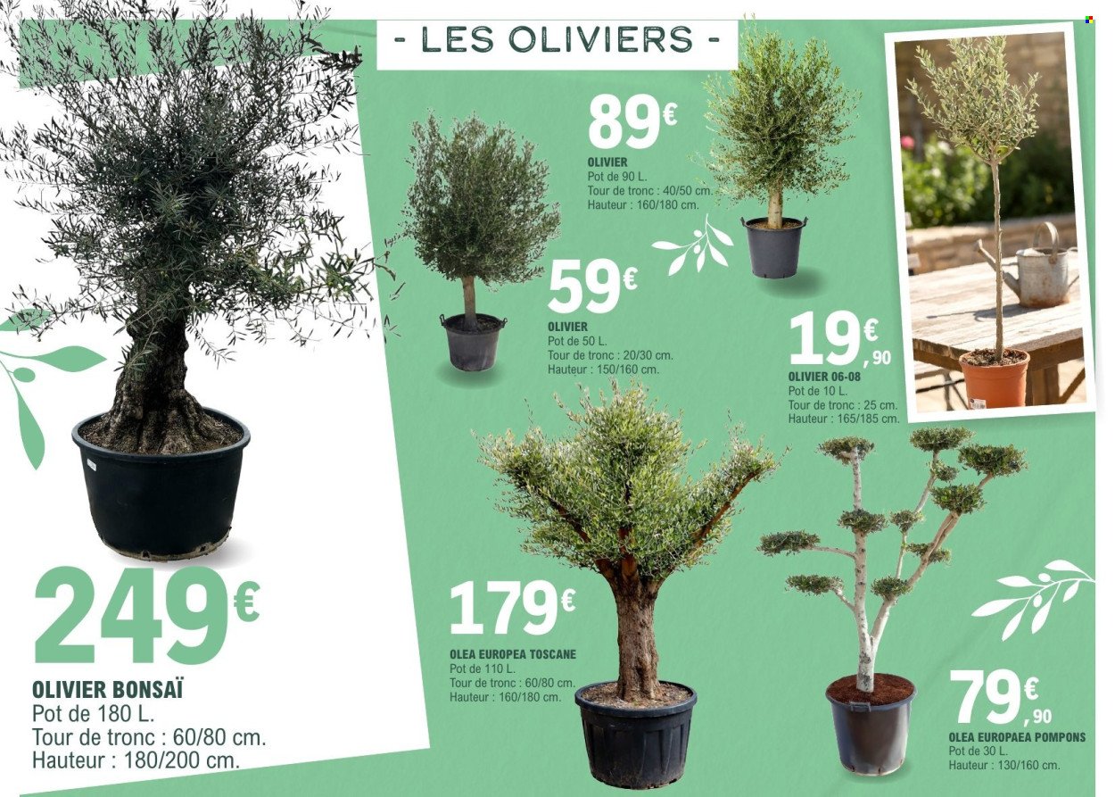 Catalogue E.LECLERC - VEGETAUX