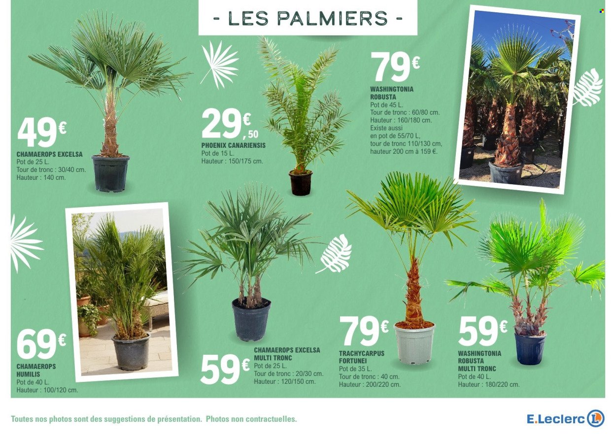 Catalogue E.LECLERC - VEGETAUX
