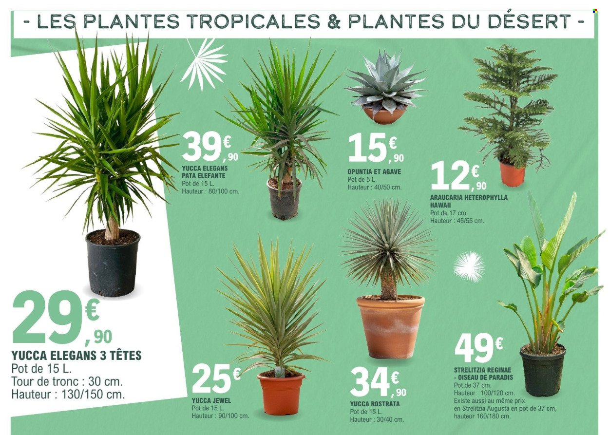 Catalogue E.LECLERC - VEGETAUX