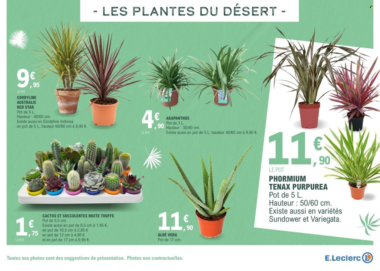 Catalogue E.LECLERC - VEGETAUX