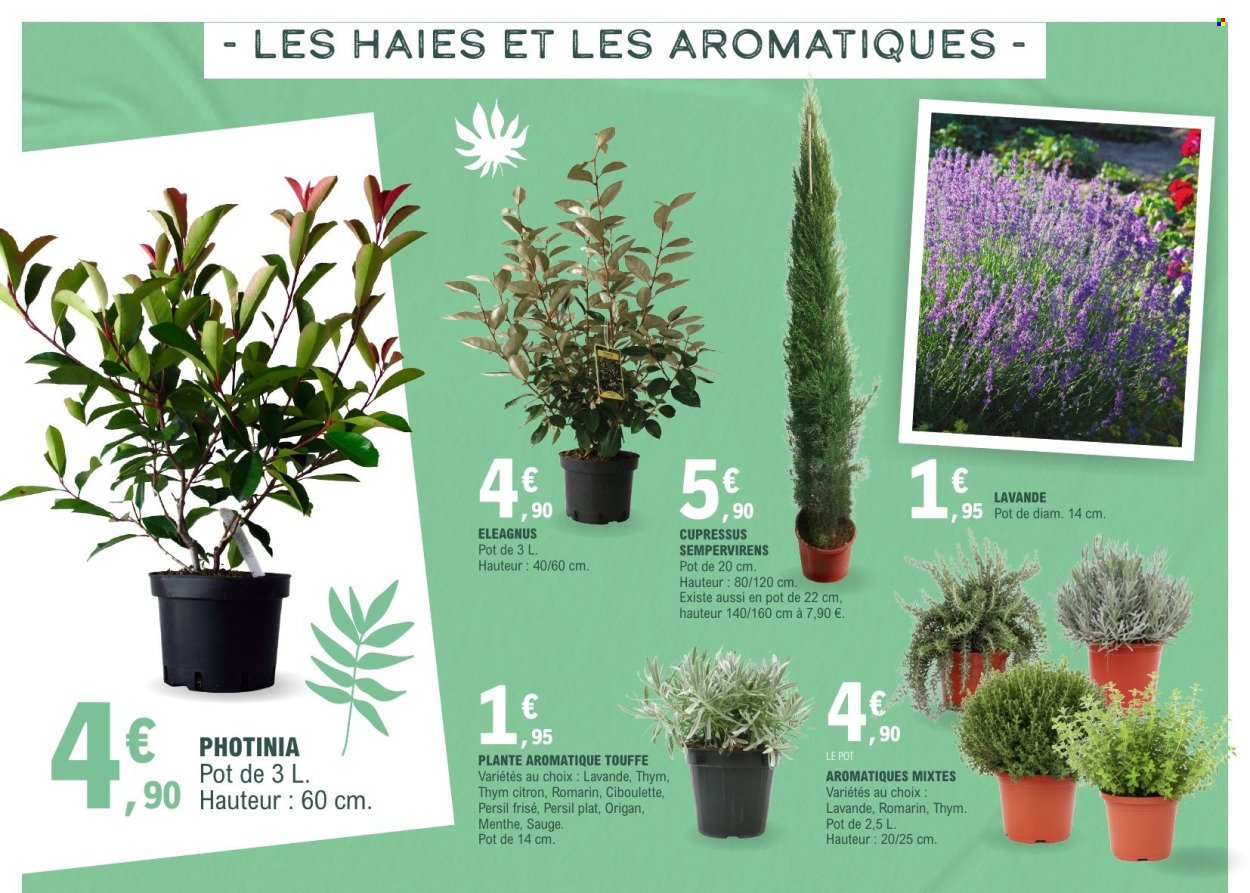 Catalogue E.LECLERC - VEGETAUX