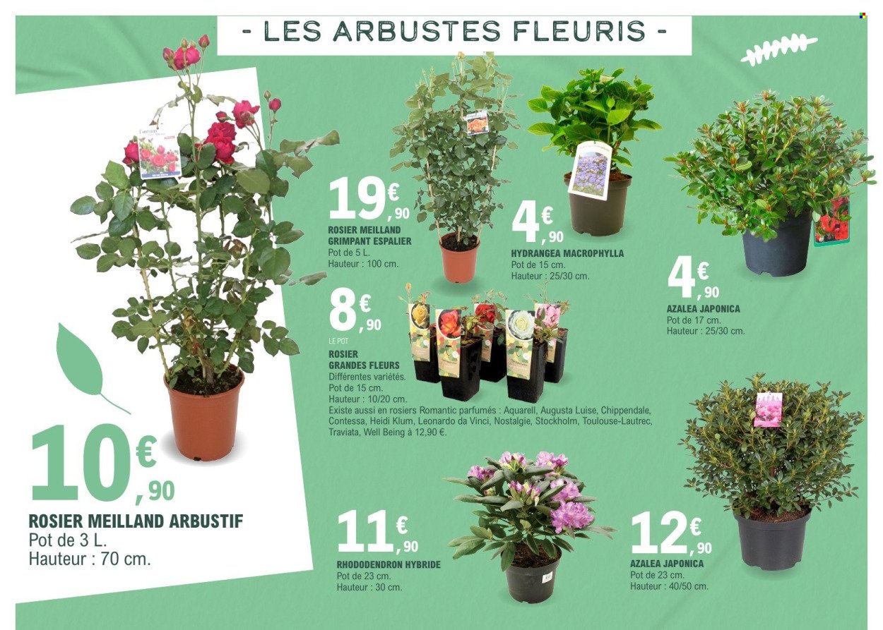 Catalogue E.LECLERC - VEGETAUX (2026-03-17 - 2026-03-28)