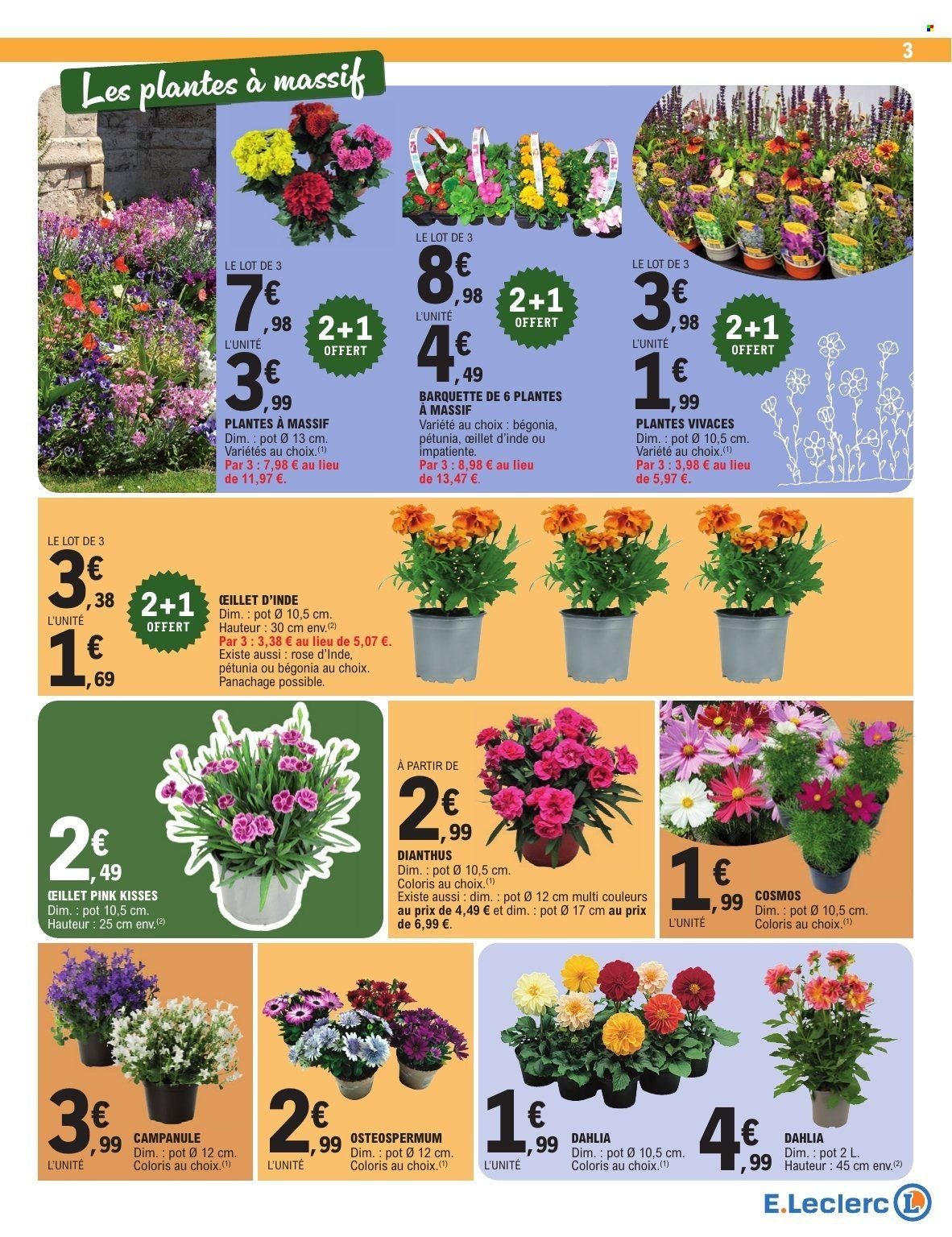 Catalogue E.LECLERC - PLANTATION