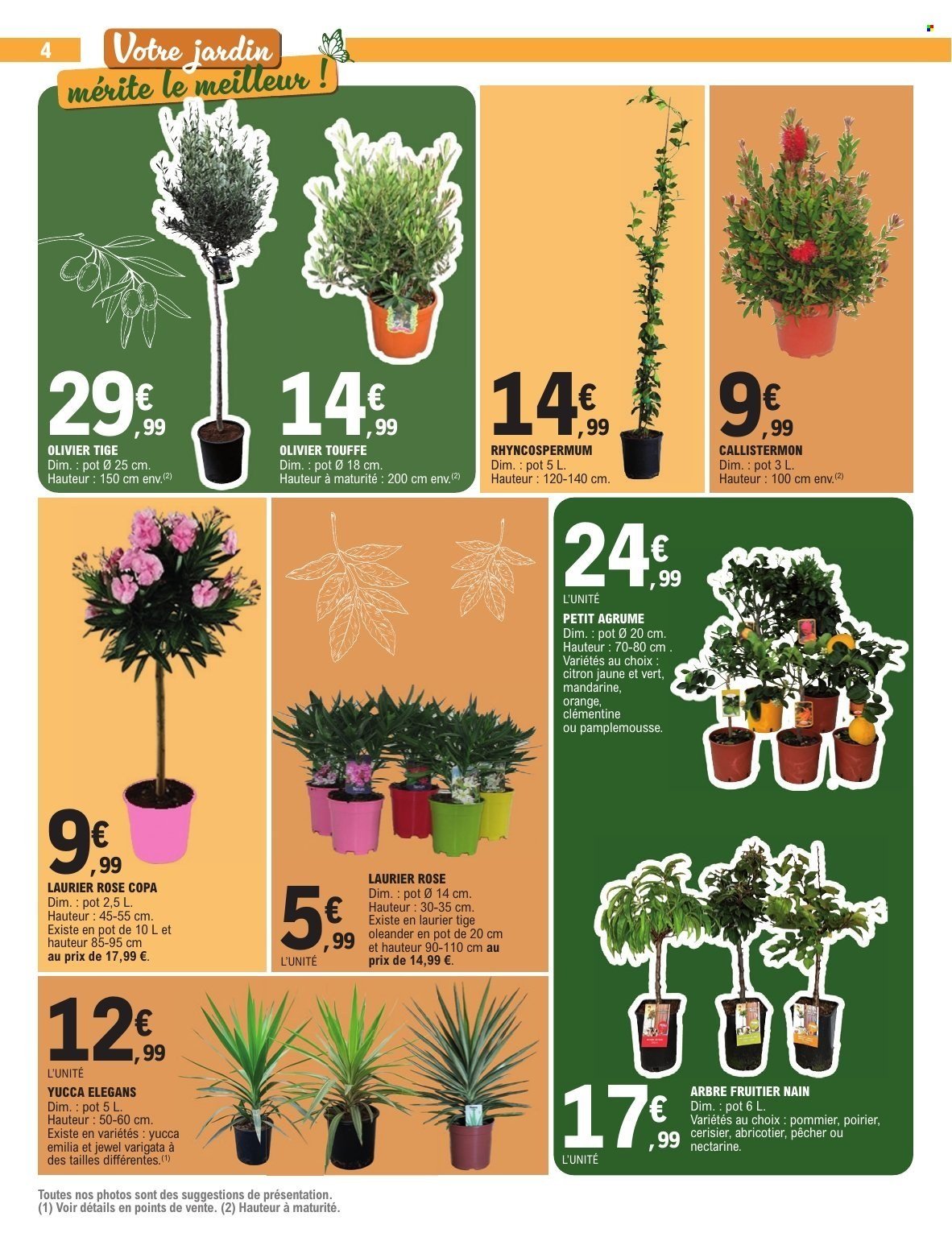 Catalogue E.LECLERC - PLANTATION (2026-04-14 - 2026-04-25)