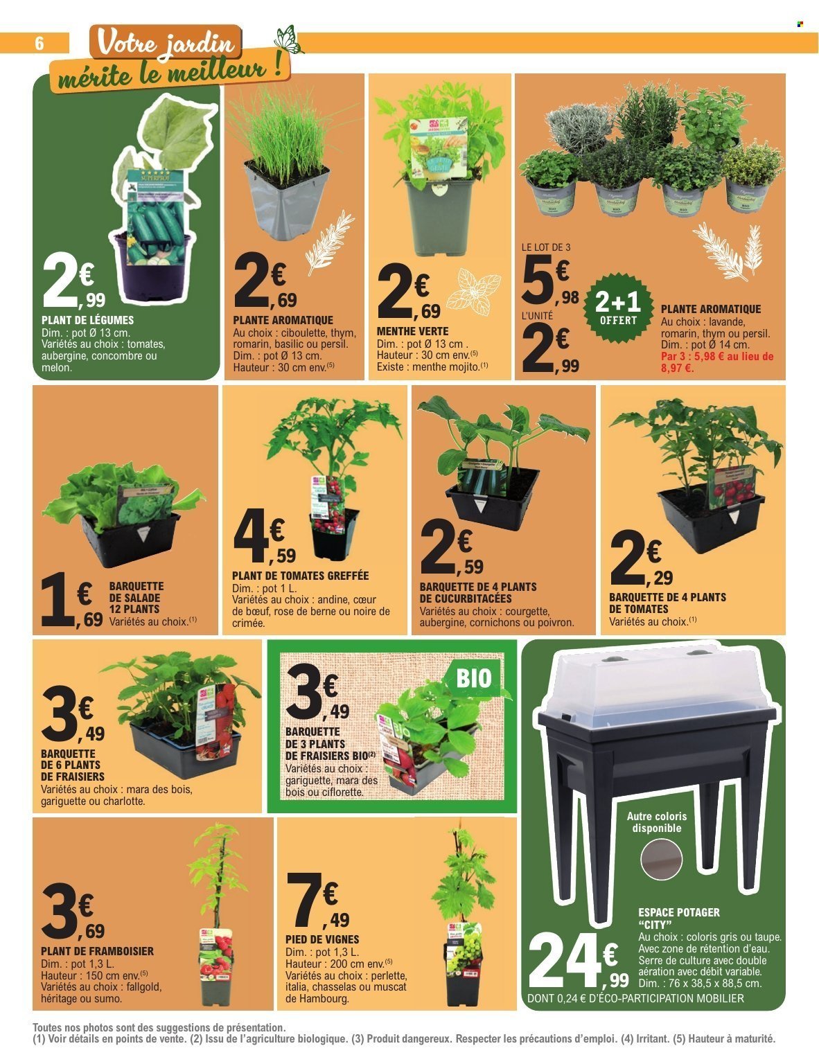 Catalogue E.LECLERC - PLANTATION (2026-04-14 - 2026-04-25)