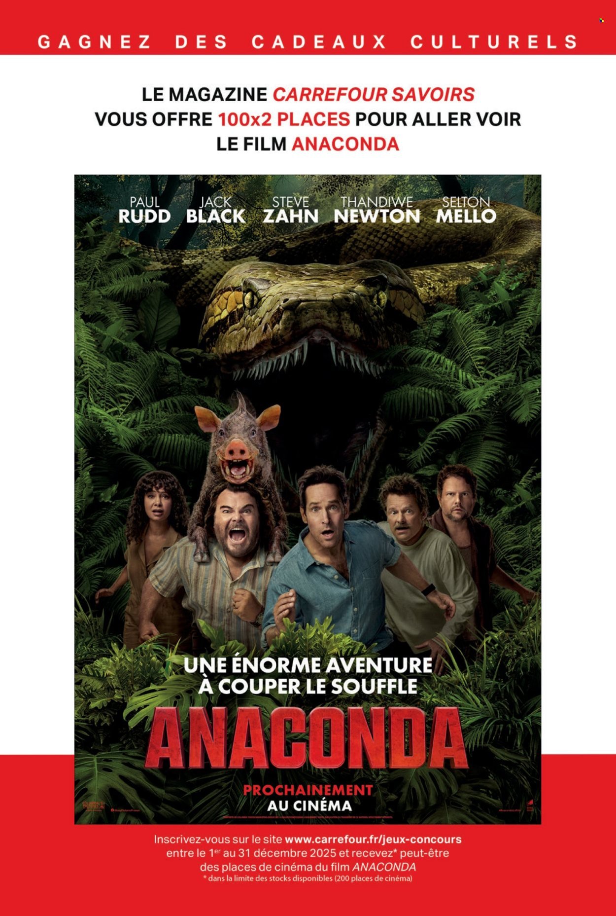 Catalogue CARREFOUR - À CHACUN SA CULTURE (2025-12-01 - 2025-12-31)