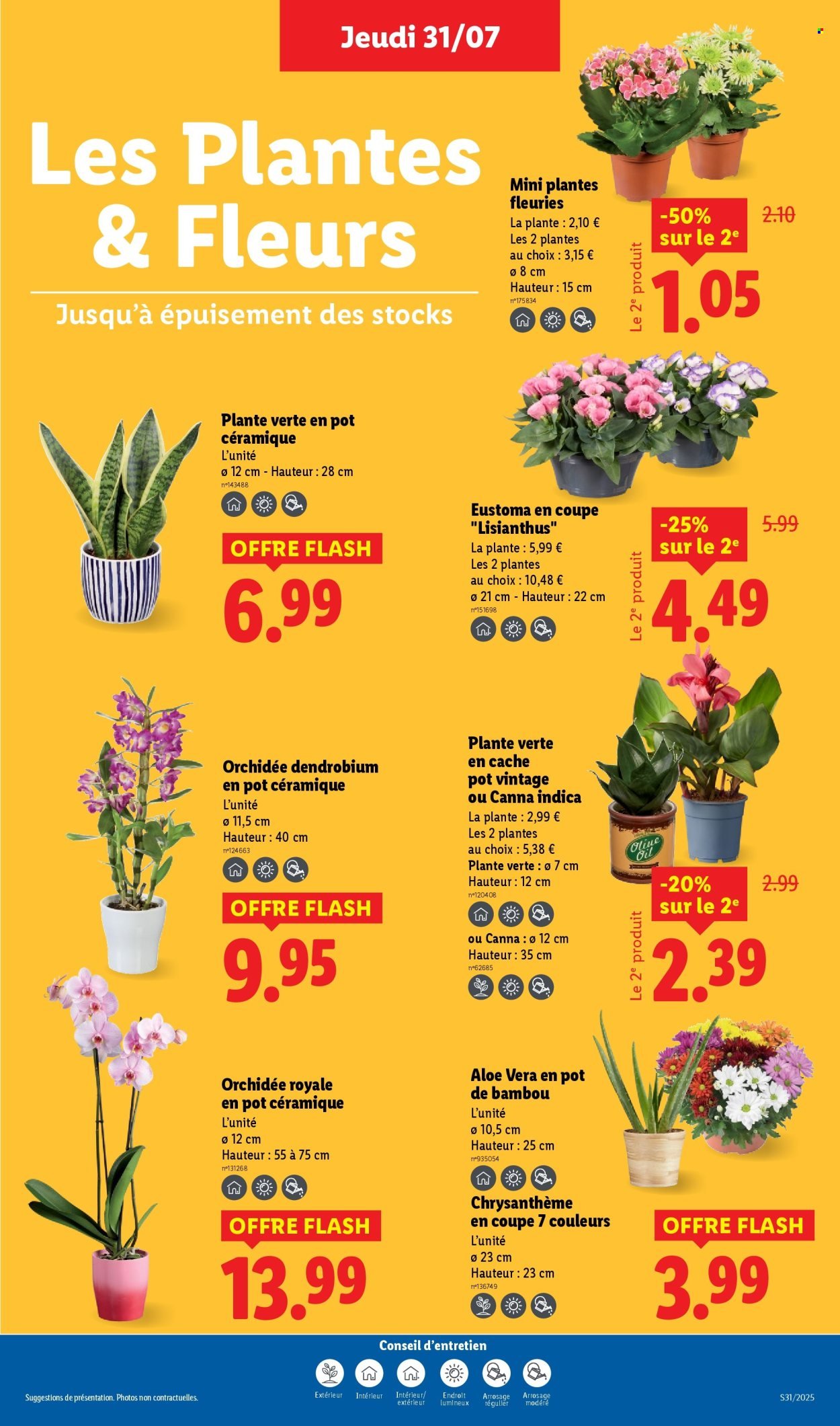 Catalogue LIDL - Les promos de la semaine (2025-07-31 - 2025-08-06)