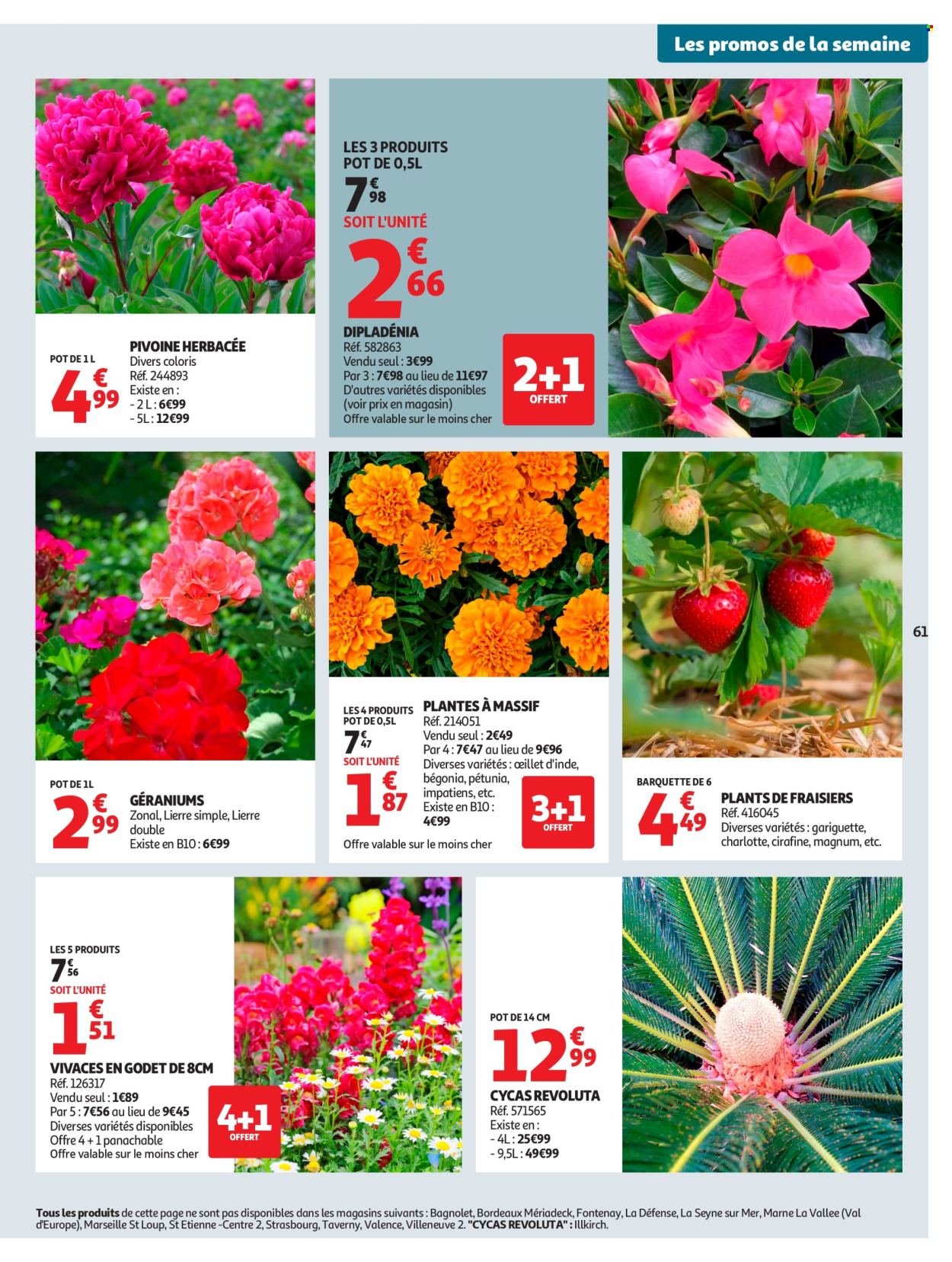 Catalogue AUCHAN - 25 jours Auchan (2026-04-08 - 2026-04-19)