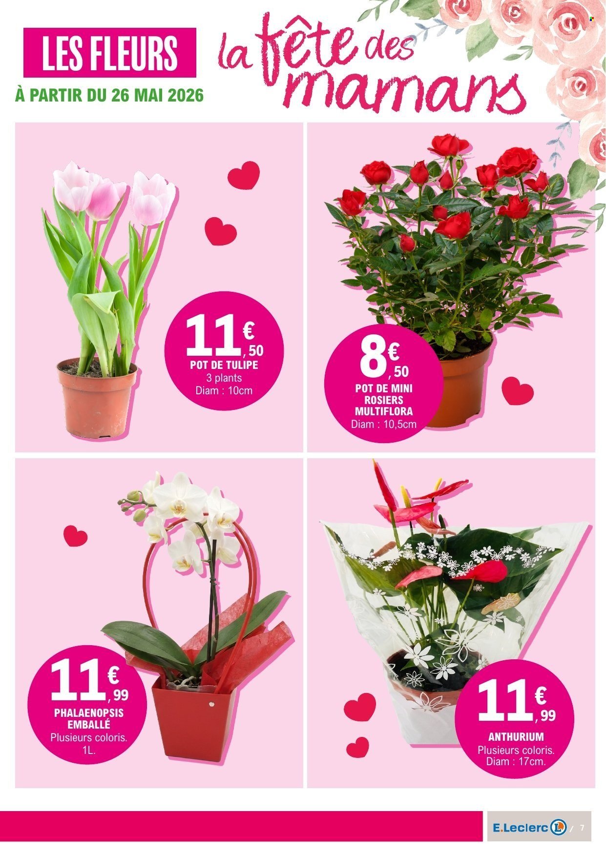 Catalogue E.LECLERC - Du mardi 19 mai 2026 (2026-05-19 - 2026-05-31)