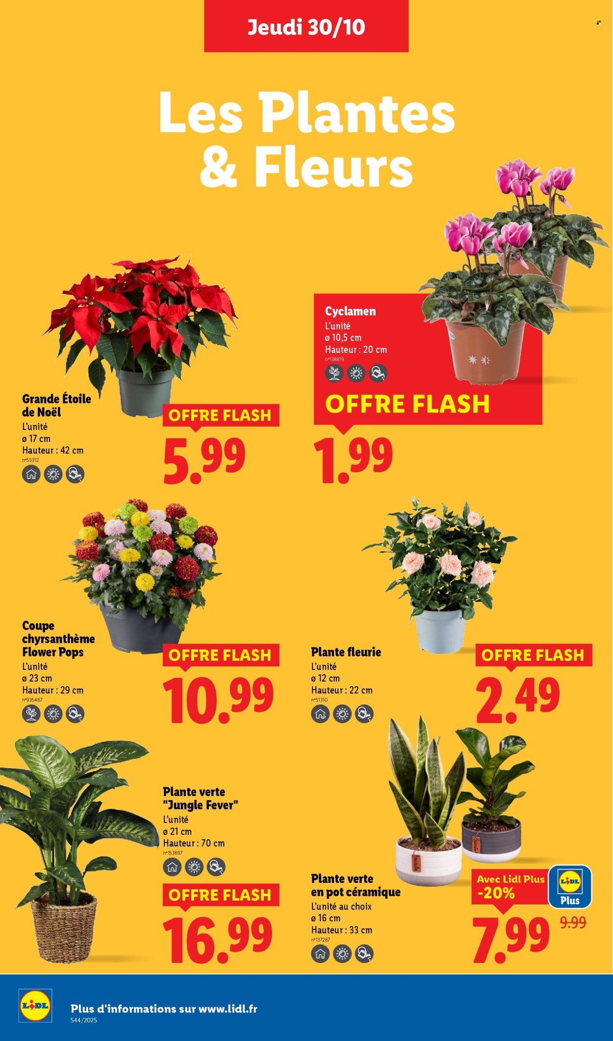 Catalogue LIDL - Les promos de la semaine