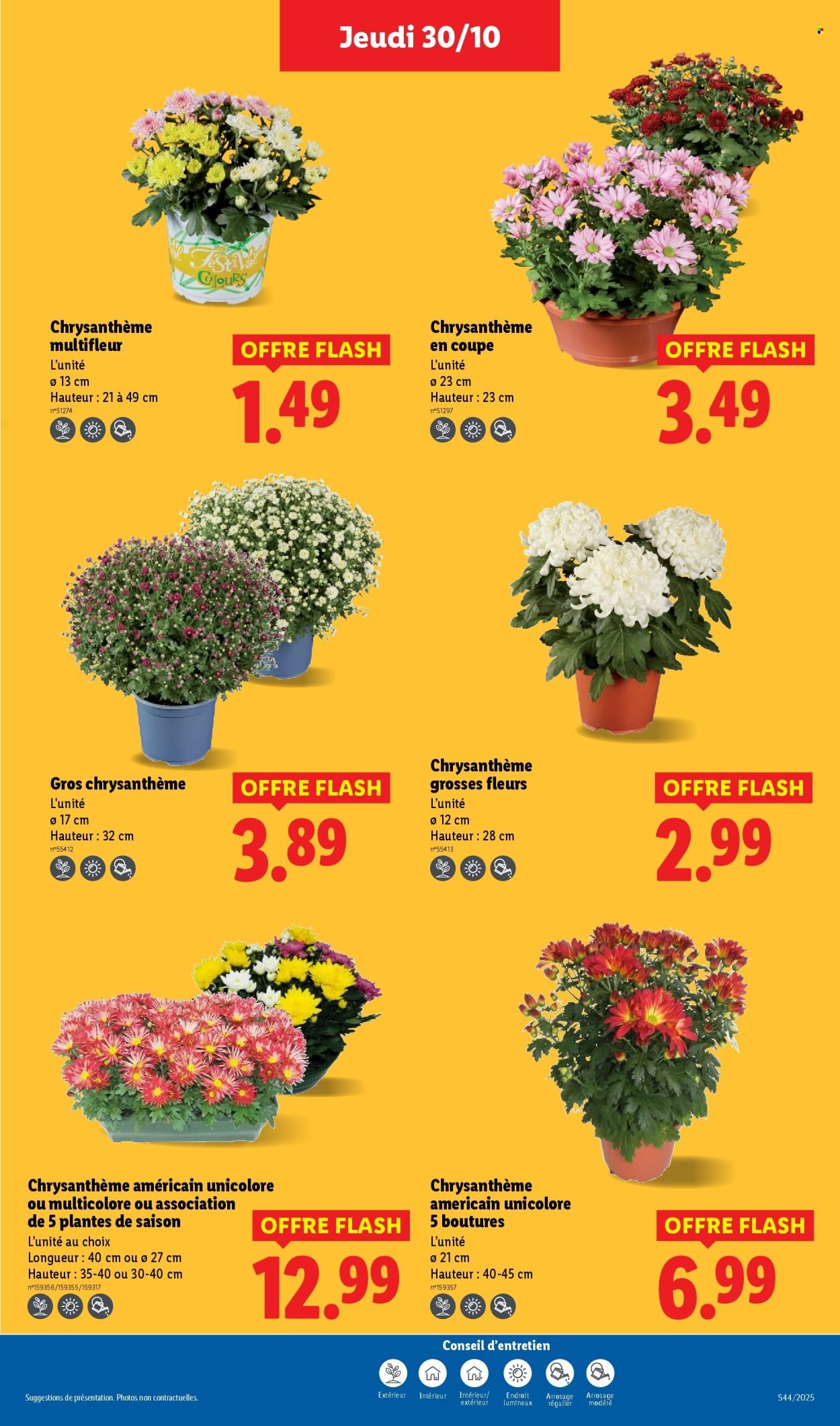 Catalogue LIDL - Les promos de la semaine