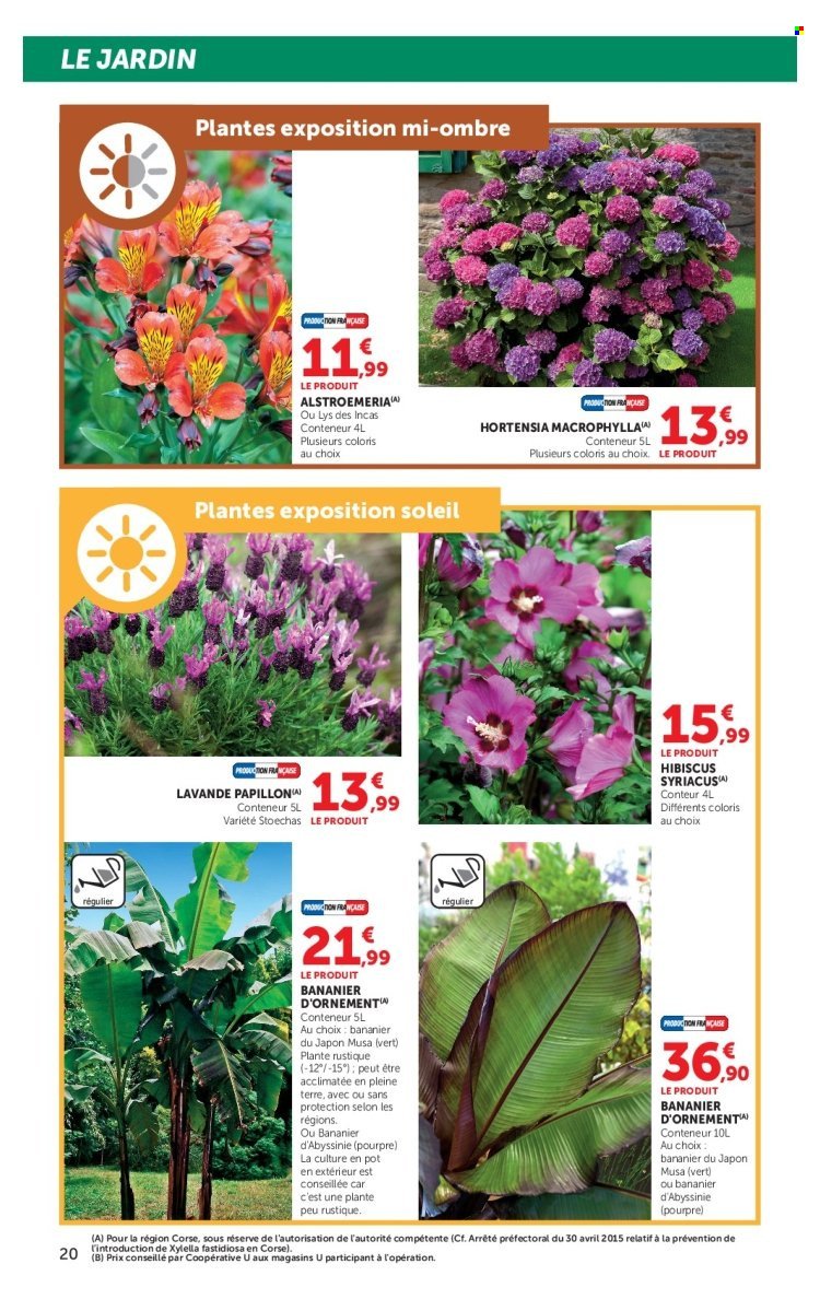 Catalogue SUPER U - Les beaux jours à prix bas (2026-04-28 - 2026-05-24)