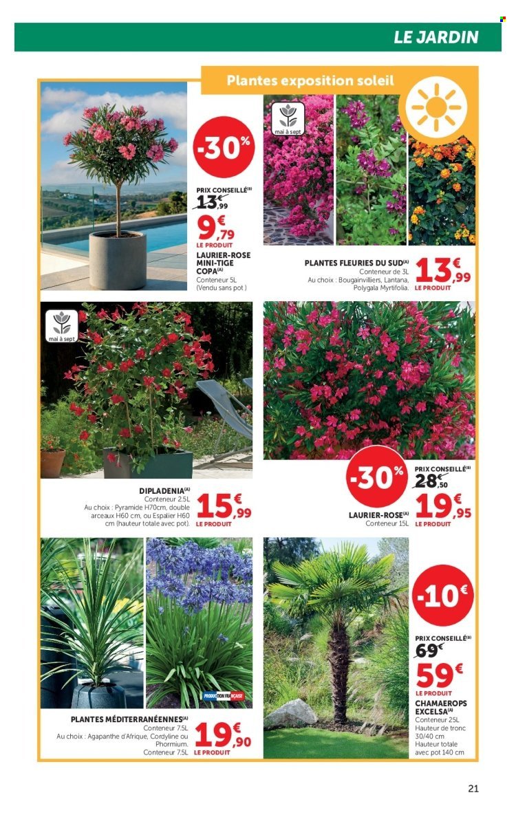 Catalogue SUPER U - Les beaux jours à prix bas (2026-04-28 - 2026-05-24)