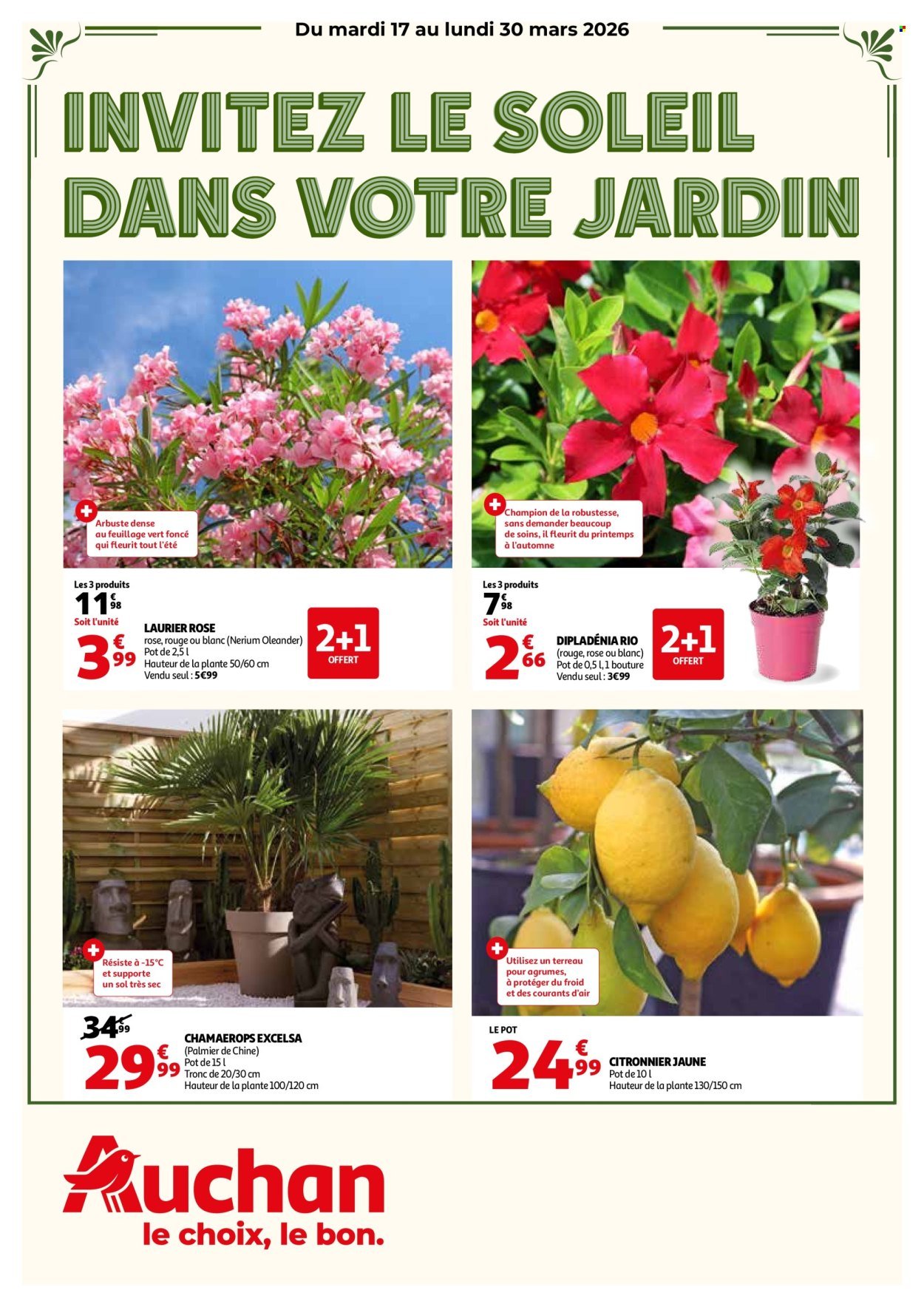 Catalogue AUCHAN - Invitez le soleil dans votre jardin