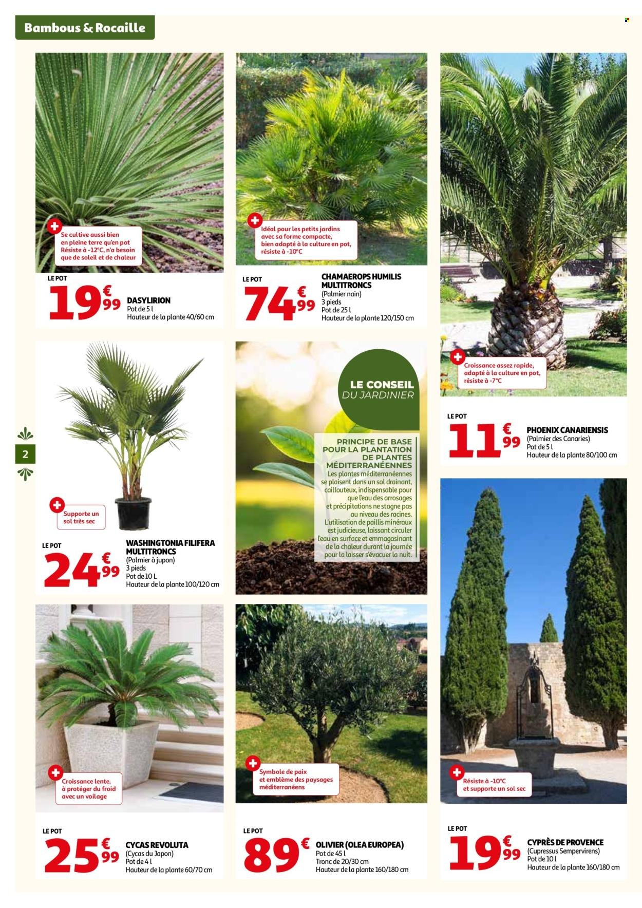 Catalogue AUCHAN - Invitez le soleil dans votre jardin