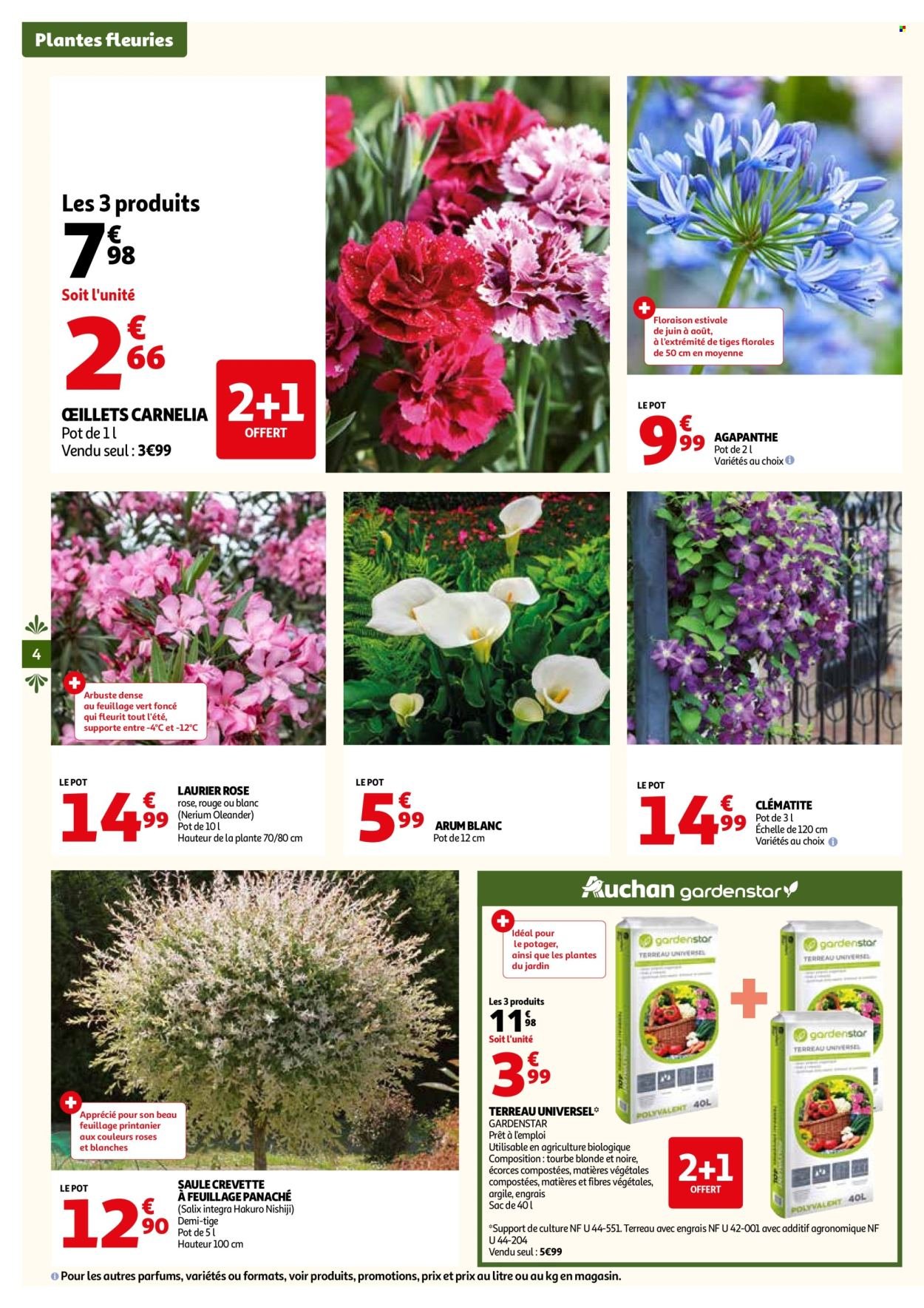 Catalogue AUCHAN - Invitez le soleil dans votre jardin