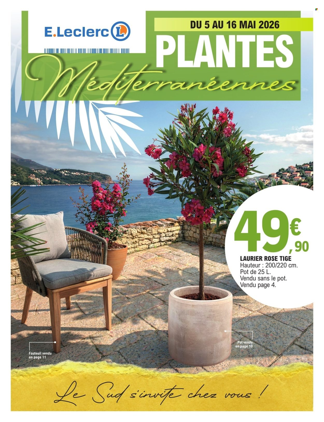 Catalogue E.LECLERC - PLANTES MEDITERRANEENNES