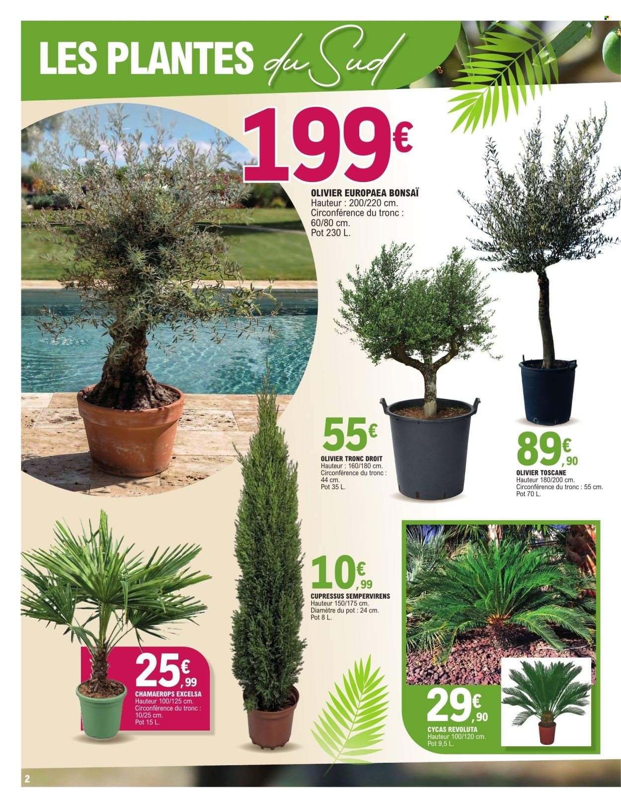 Catalogue E.LECLERC - PLANTES MEDITERRANEENNES