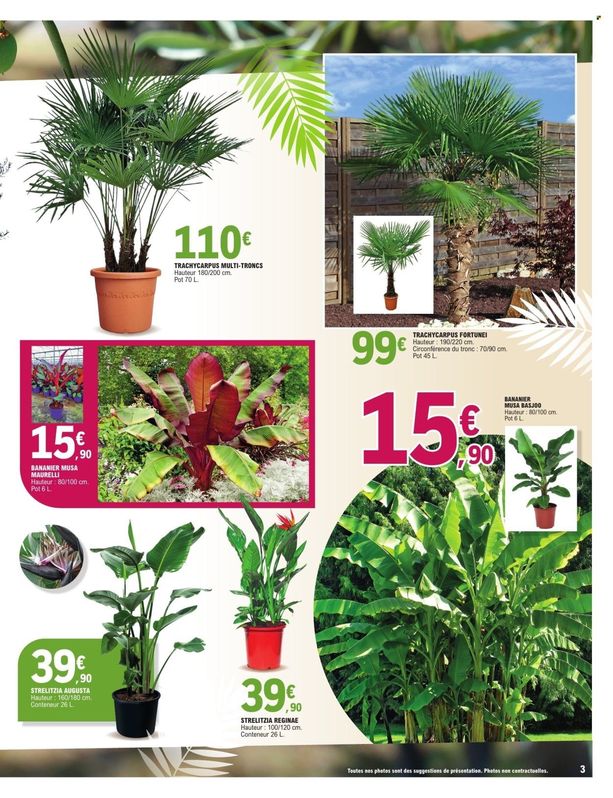 Catalogue E.LECLERC - PLANTES MEDITERRANEENNES