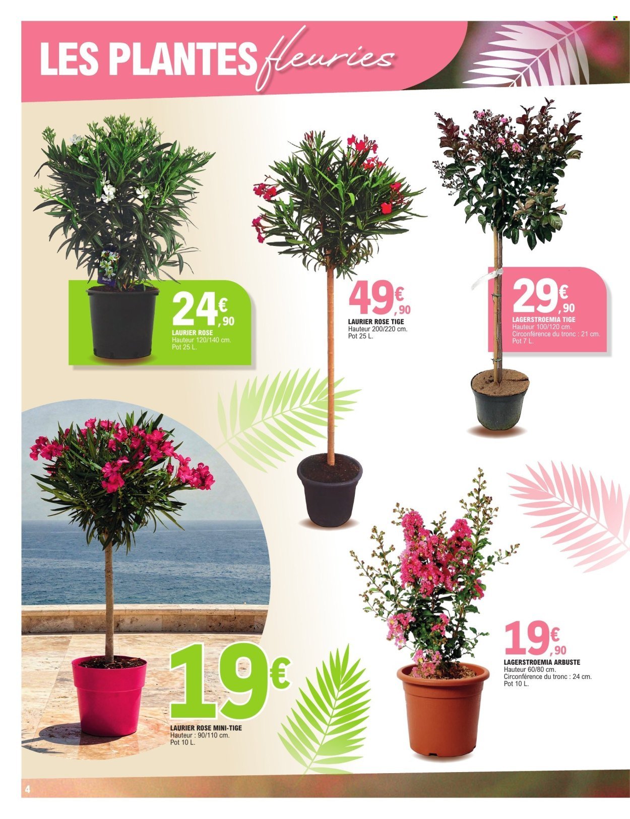 Catalogue E.LECLERC - PLANTES MEDITERRANEENNES (2026-05-05 - 2026-05-16)