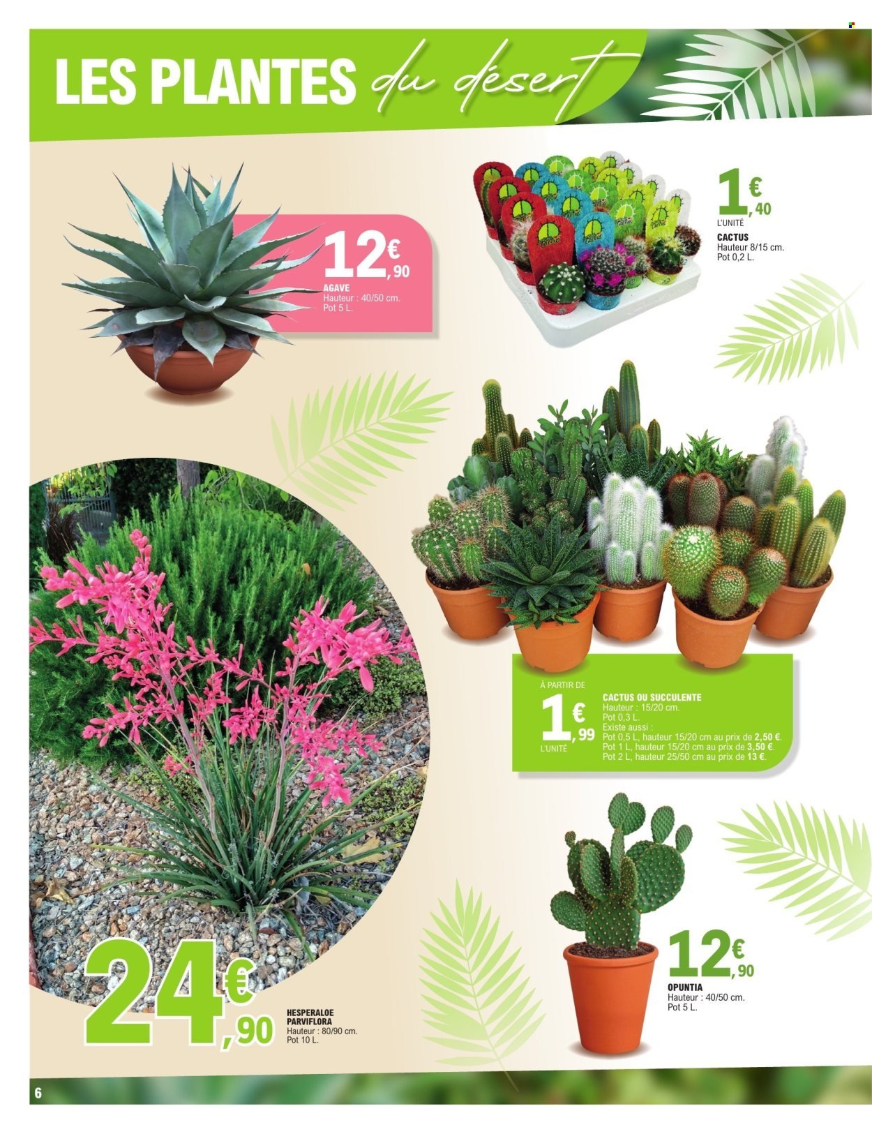 Catalogue E.LECLERC - PLANTES MEDITERRANEENNES (2026-05-05 - 2026-05-16)