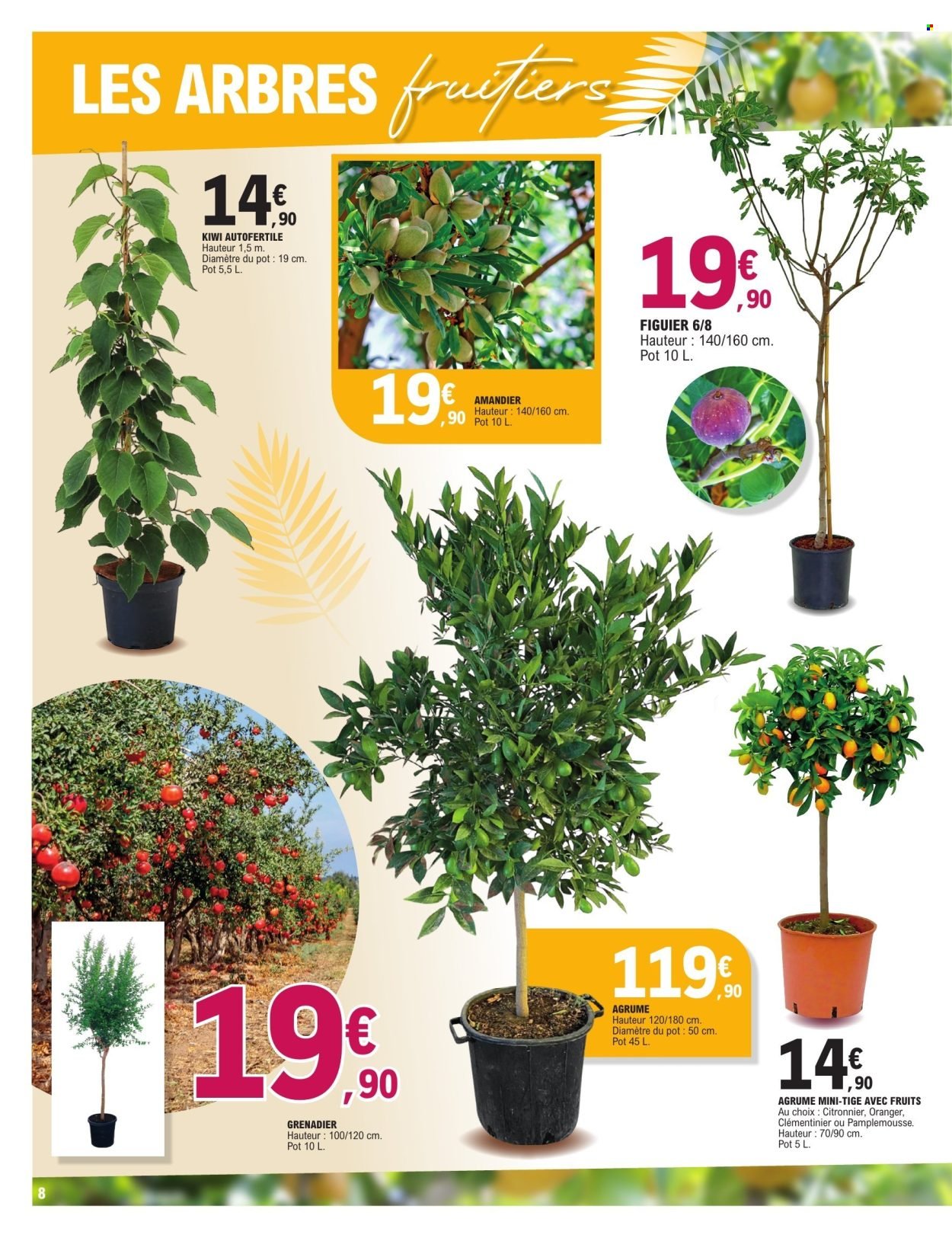 Catalogue E.LECLERC - PLANTES MEDITERRANEENNES (2026-05-05 - 2026-05-16)