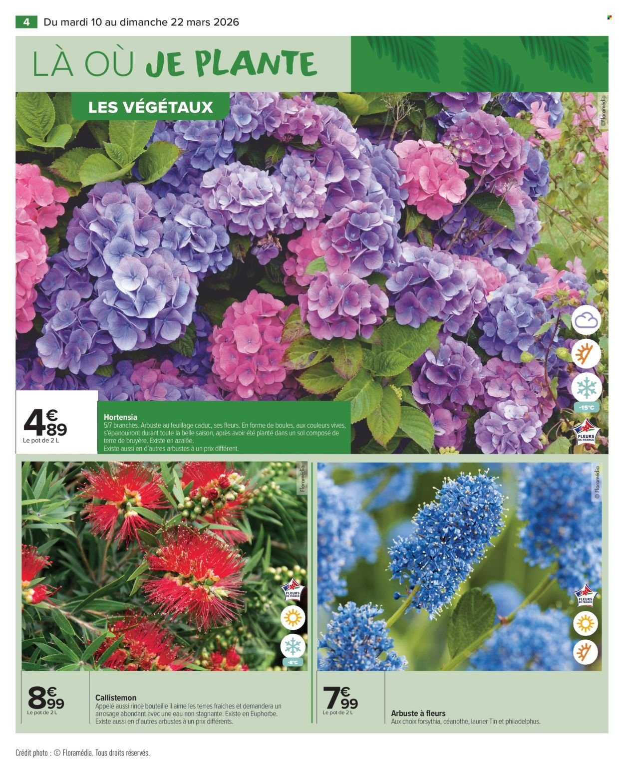 Catalogue CARREFOUR MARKET - JARDIN (2026-03-10 - 2026-03-22)
