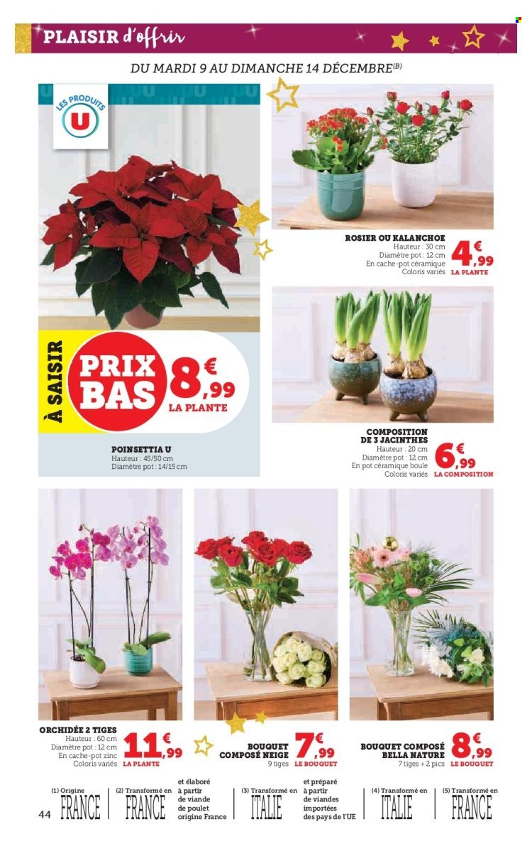 Catalogue HYPER U - Les prix bas de la semaine (2025-12-09 - 2025-12-24)