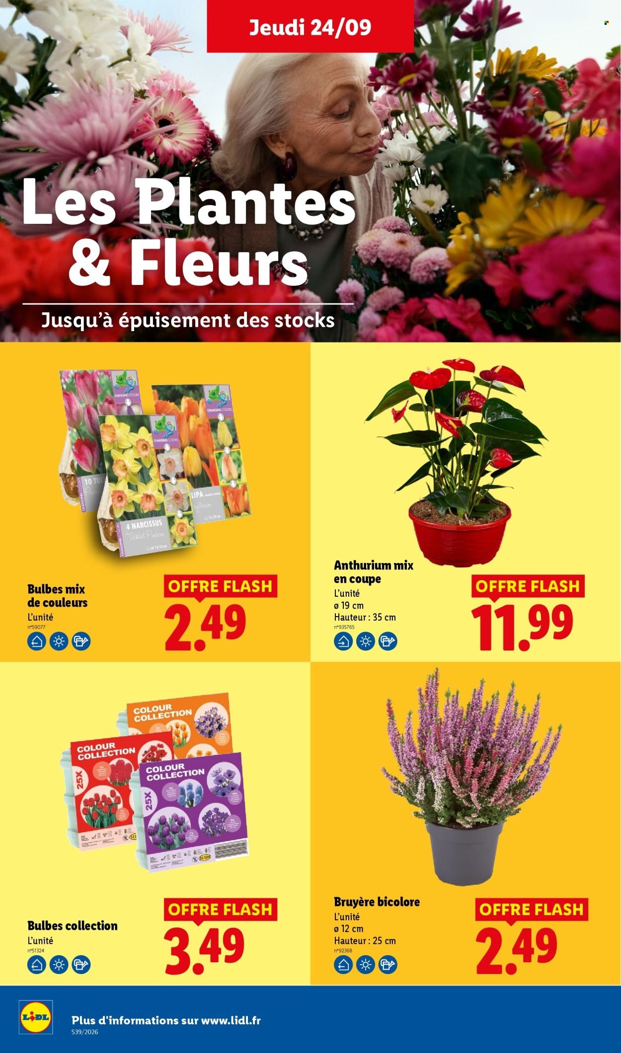 Catalogue LIDL - Les promos de la semaine