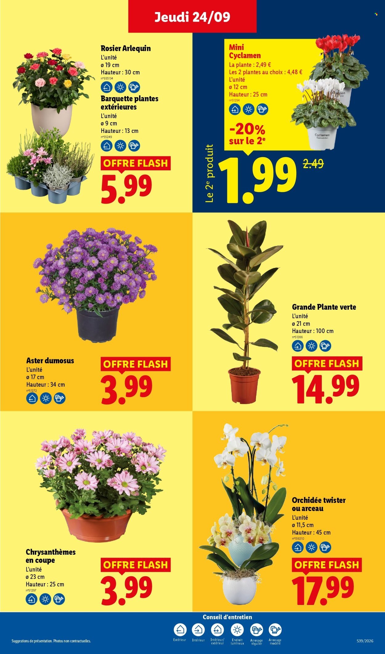 Catalogue LIDL - Les promos de la semaine