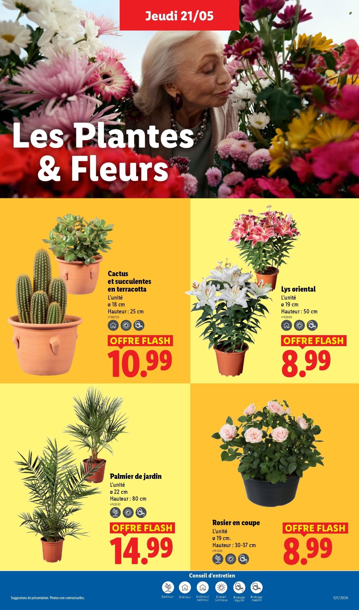 Catalogue LIDL - Les promos de la semaine (2026-05-21 - 2026-05-27)