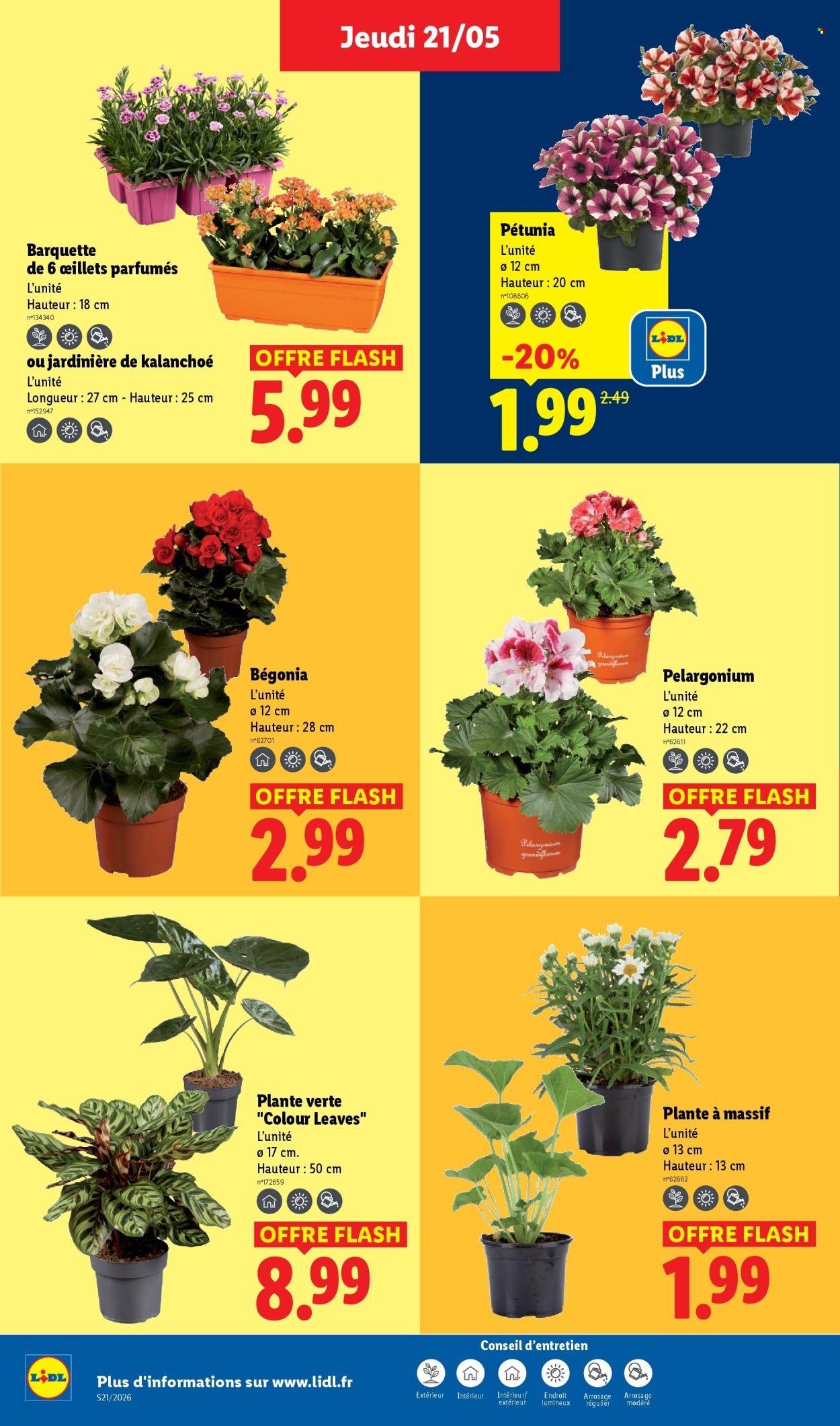 Catalogue LIDL - Les promos de la semaine (2026-05-21 - 2026-05-27)