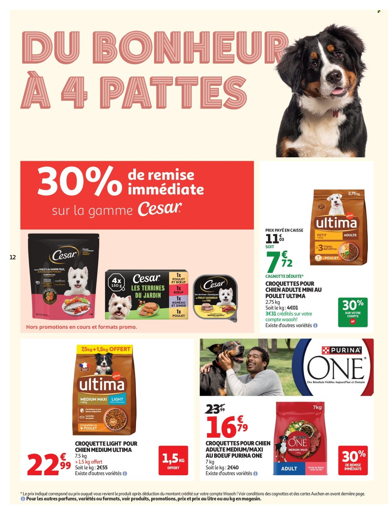 Catalogue AUCHAN - Animalerie