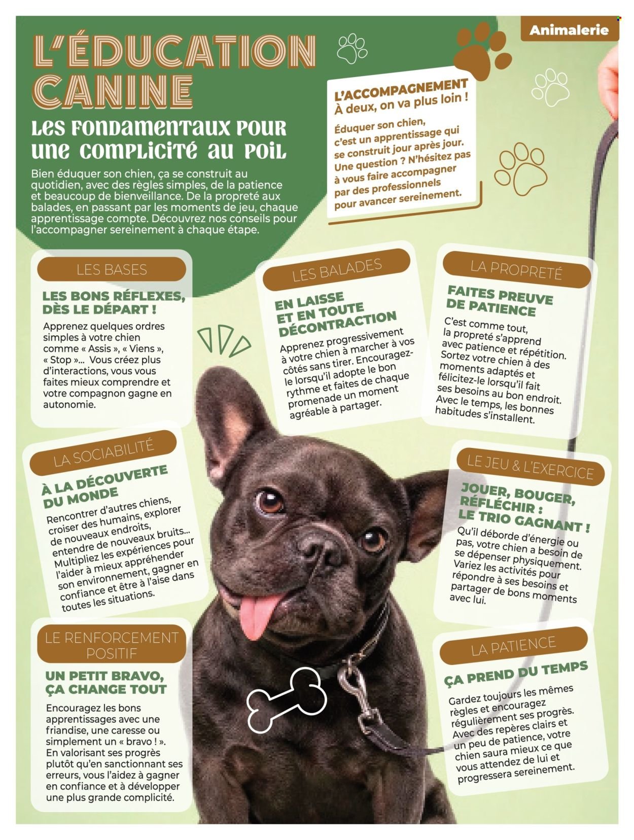 Catalogue AUCHAN - Animalerie