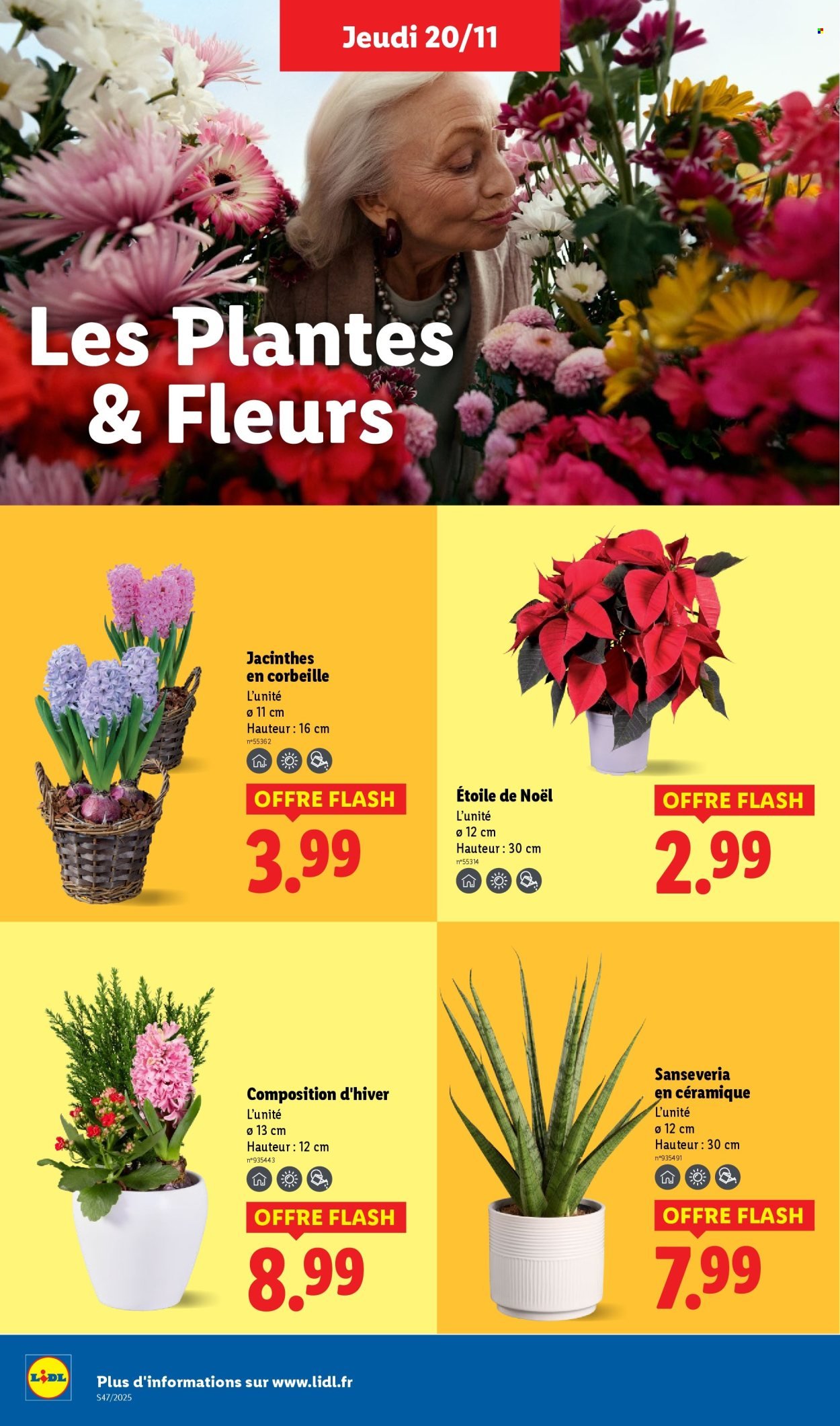 Catalogue LIDL - Les promos de la semaine