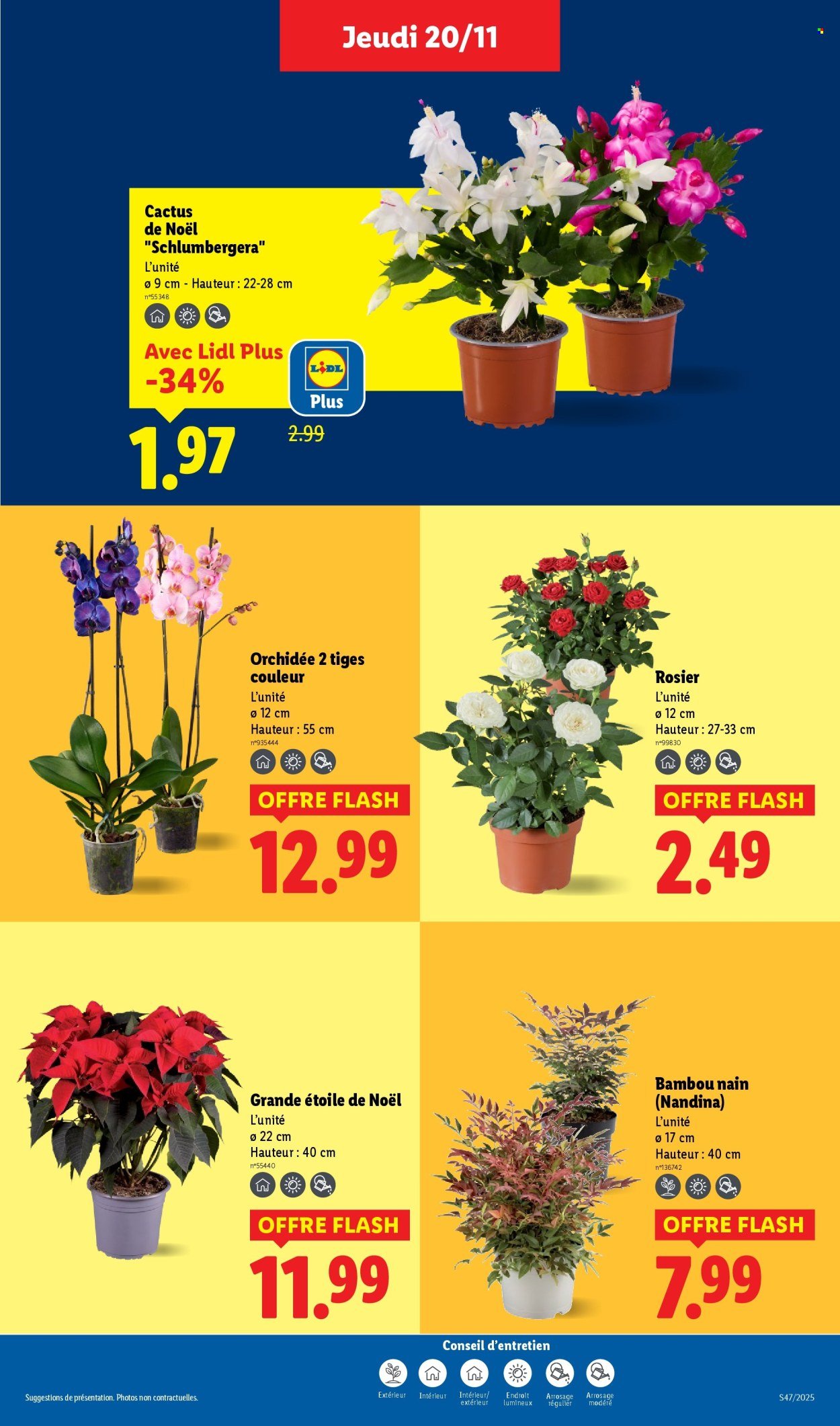 Catalogue LIDL - Les promos de la semaine