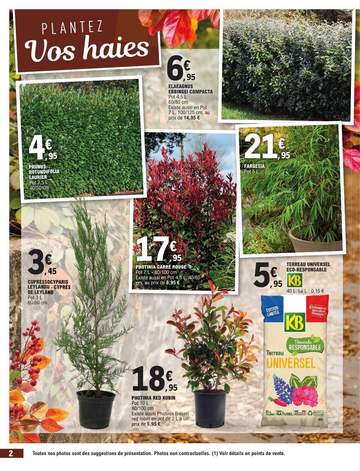 Catalogue E.LECLERC - JARDIN AUTOMNE /TOUSSAINT