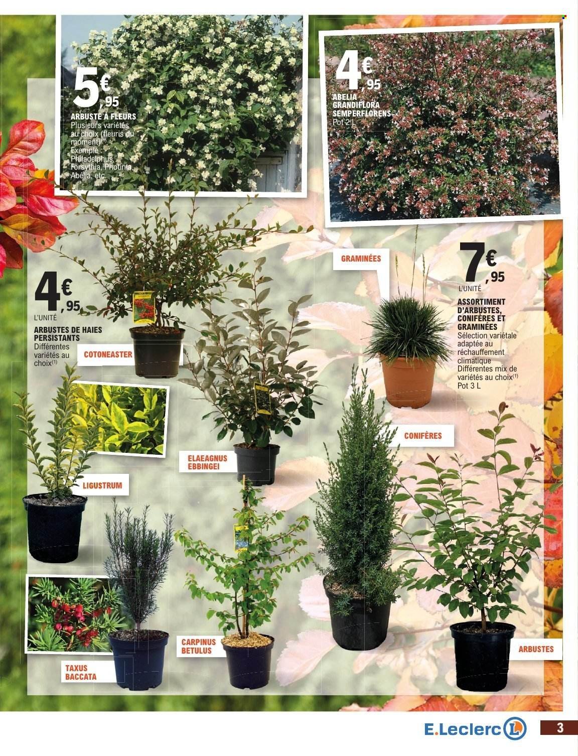 Catalogue E.LECLERC - JARDIN AUTOMNE /TOUSSAINT