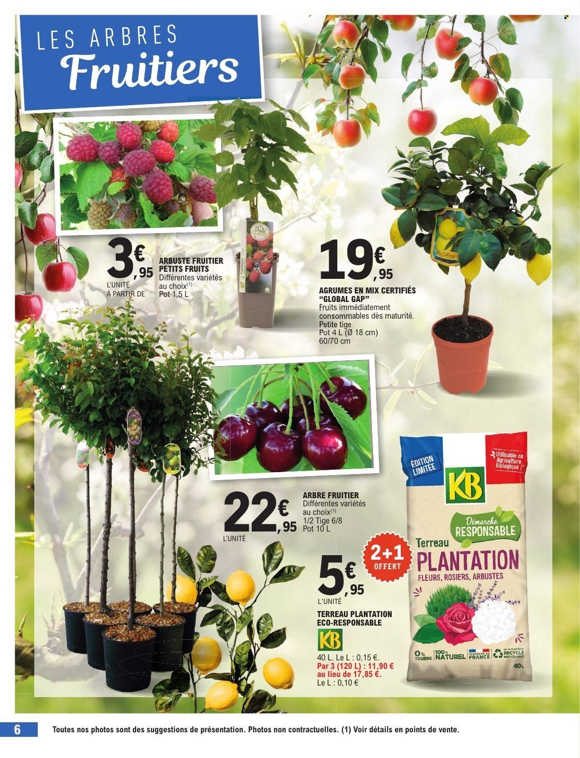 Catalogue E.LECLERC - JARDIN AUTOMNE /TOUSSAINT