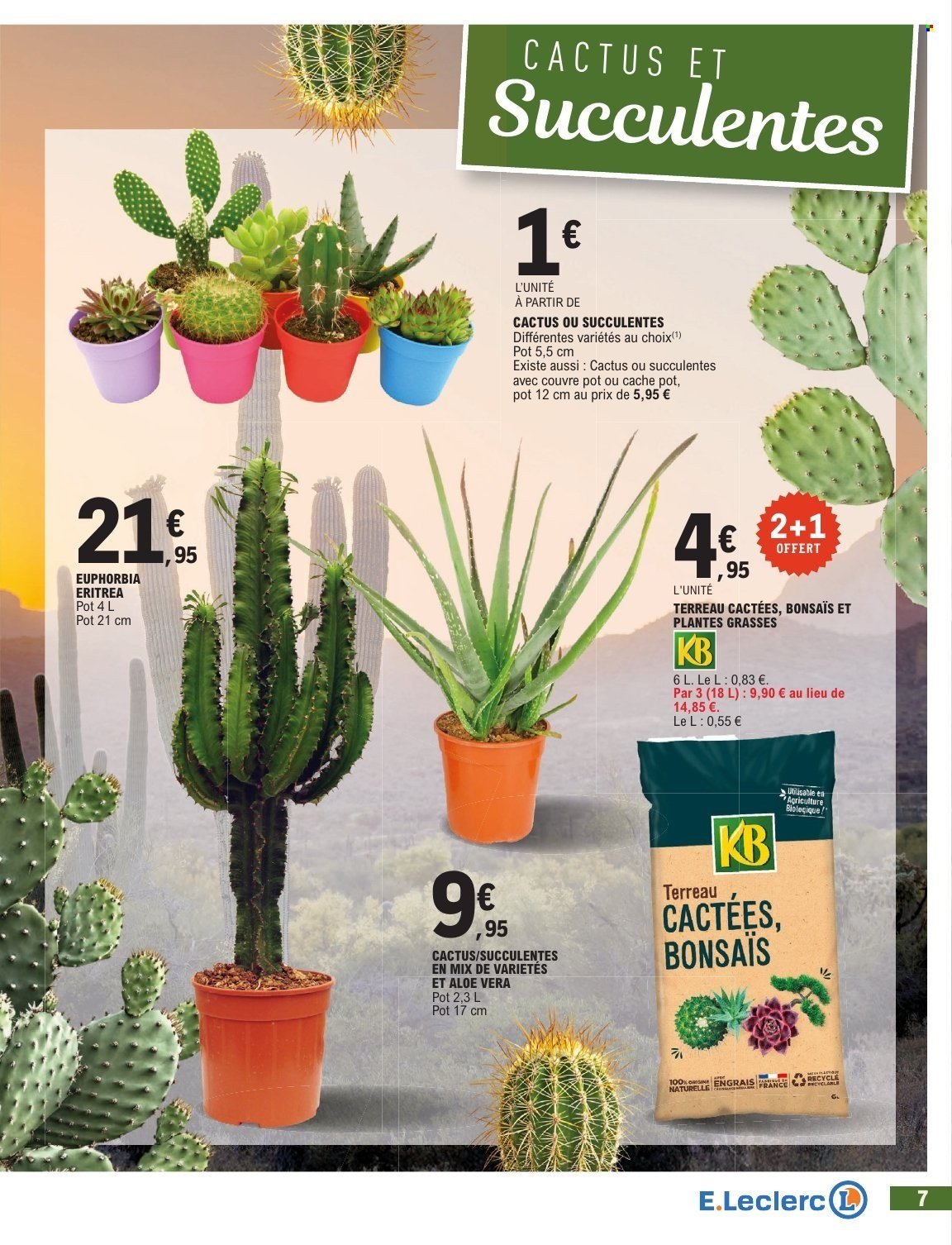 Catalogue E.LECLERC - JARDIN AUTOMNE /TOUSSAINT