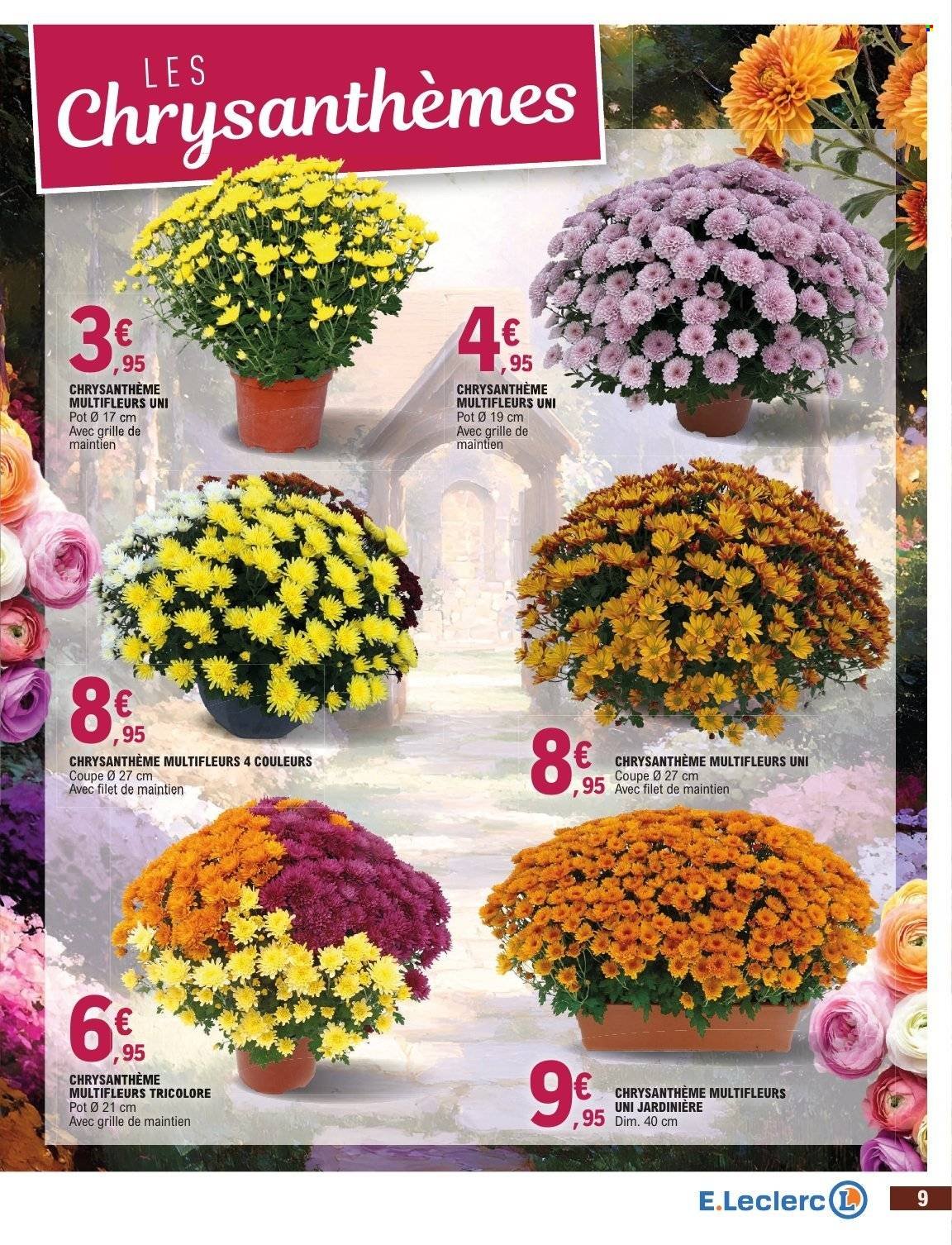 Catalogue E.LECLERC - JARDIN AUTOMNE /TOUSSAINT