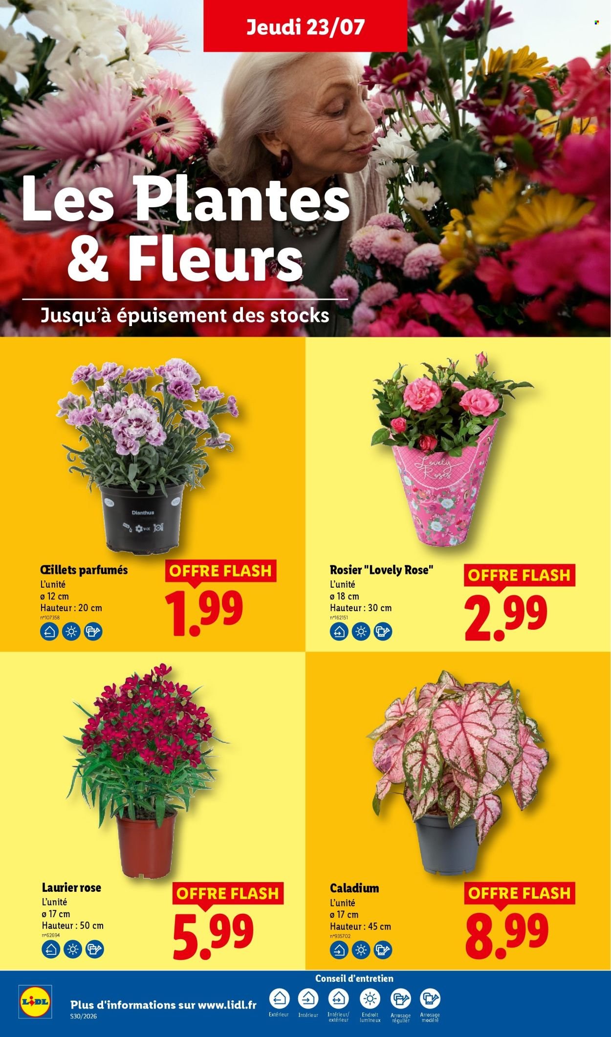 Catalogue LIDL - Les promos de la semaine