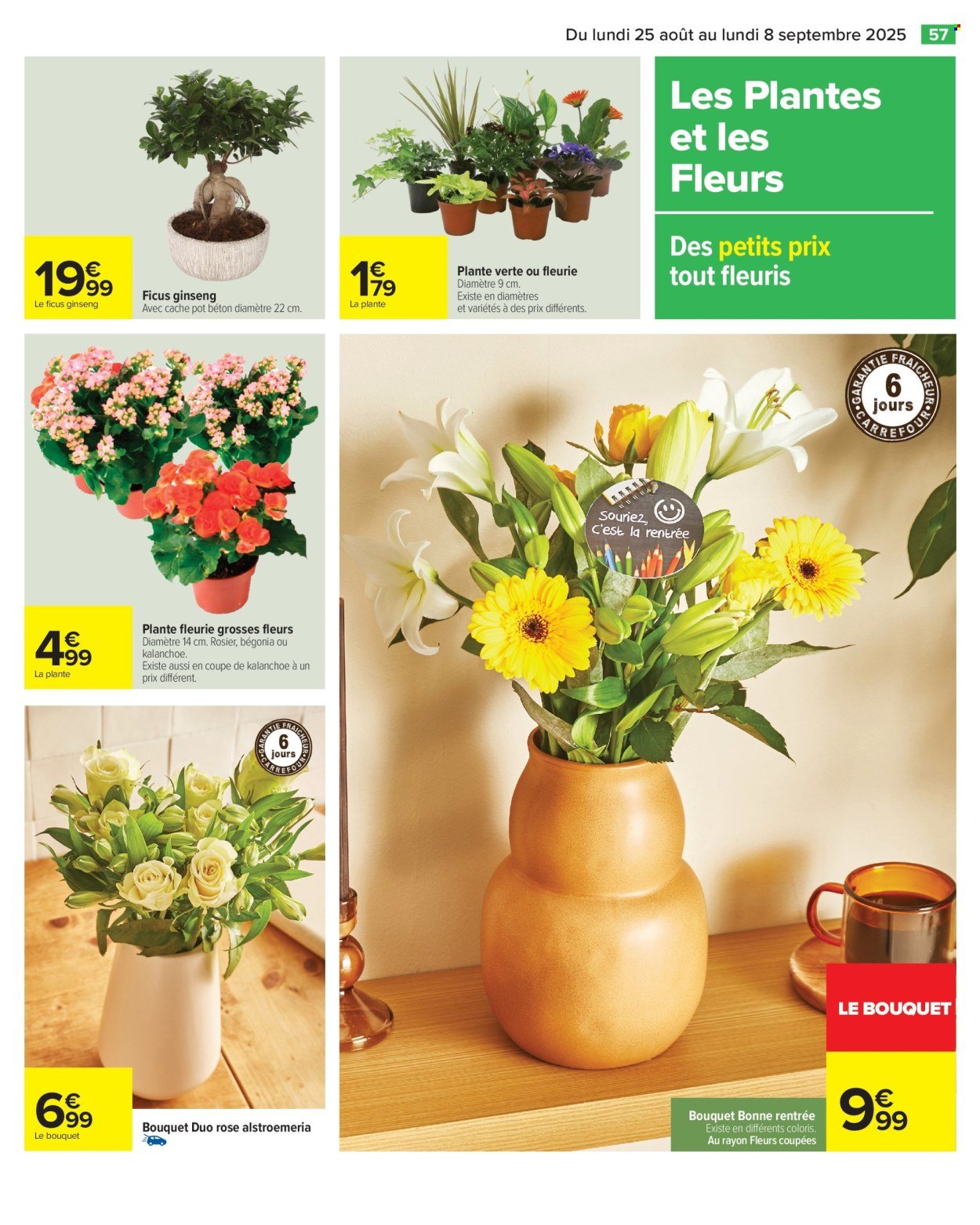 Catalogue CARREFOUR - LE COIN DES ENFANTS (2025-08-25 - 2025-09-08)