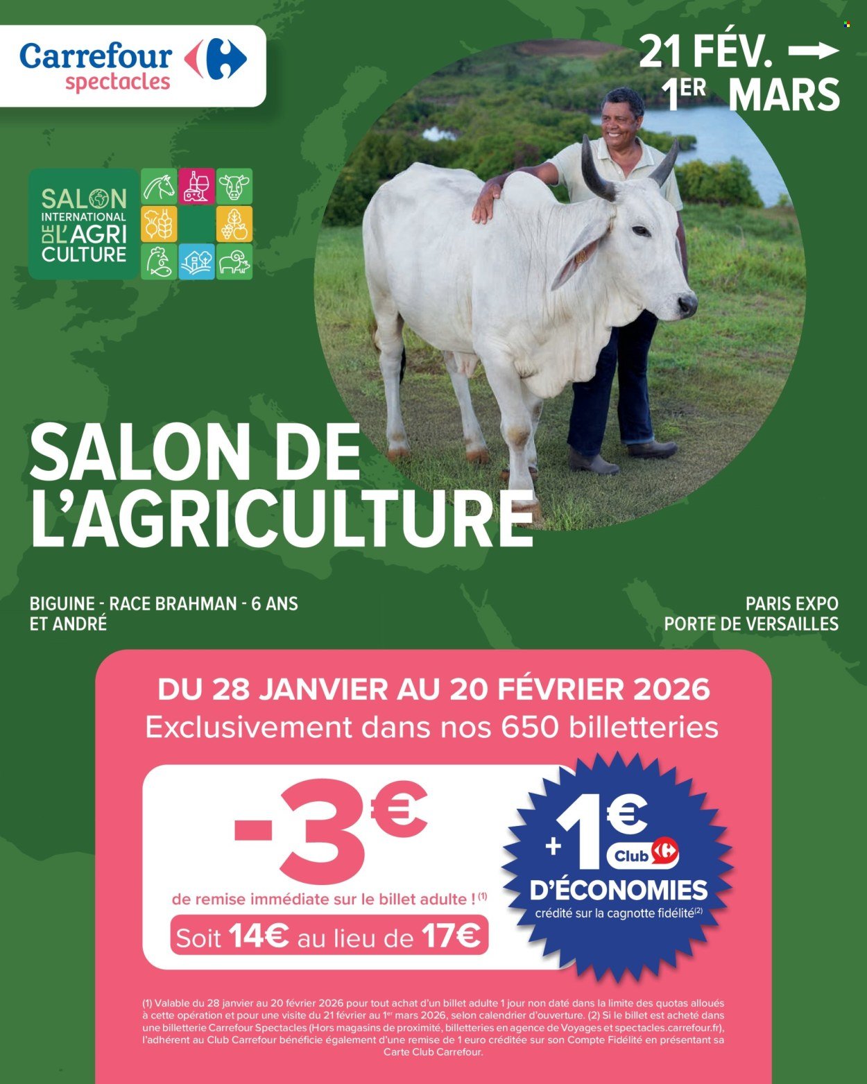 Catalogue CARREFOUR MARKET - NOUVEL AN LUNAIRE