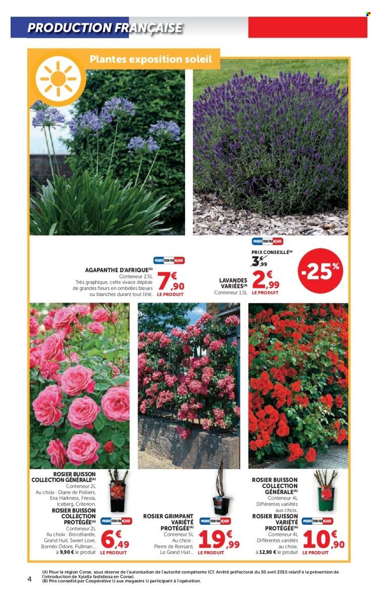Catalogue HYPER U - Le jardin à prix bas