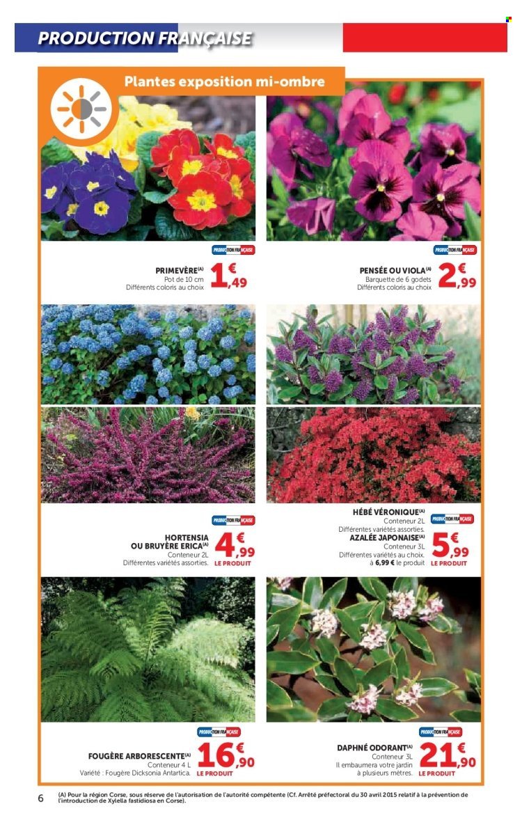 Catalogue HYPER U - Le jardin à prix bas