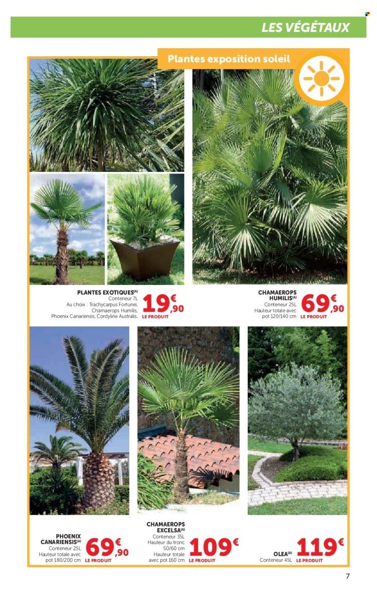 Catalogue HYPER U - Le jardin à prix bas